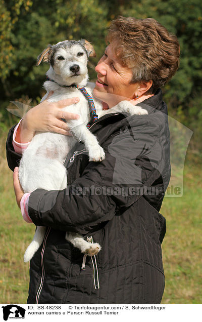 Frau trgt Parson Russell Terrier / woman carries a Parson Russell Terrier / SS-48238
