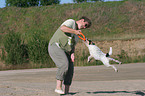 playing Parson Russell Terrier