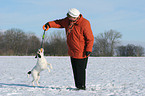 woman plays with Parson Russell Terrier in the snow