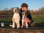 woman with 2 Parson Russell Terrier