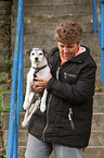 woman is carriing a Parson Russell Terrier