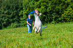 playing Perro de Agua Espanol
