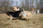 playing puggles