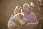 female Pyrenean Sheepdog