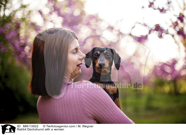 Kaninchendackel mit Frau / Rabbit Dachshund with a woman / MW-13922