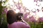 Rabbit Dachshund with a woman