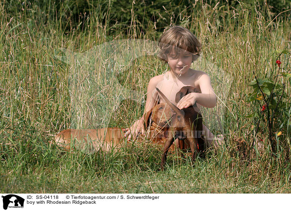 Junge mit Rhodesian Ridgeback / boy with Rhodesian Ridgeback / SS-04118