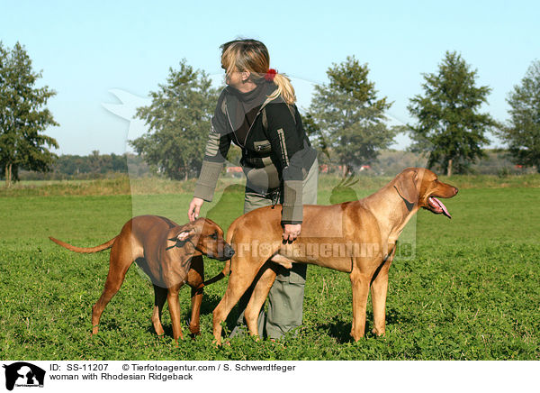 Frau mit Rhodesian Ridgeback / woman with Rhodesian Ridgeback / SS-11207