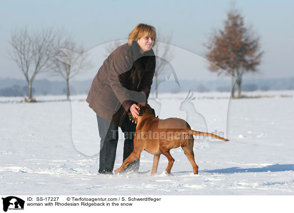 Frau mit Rhodesian Ridgeback im Schnee / woman with Rhodesian Ridgeback in the snow / SS-17227