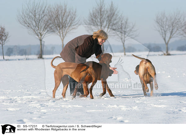 Frau mit Rhodesian Ridgebacks im Schnee / woman with Rhodesian Ridgebacks in the snow / SS-17231