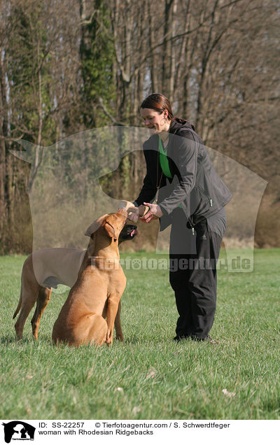 Frau mit Rhodesian Ridgebacks / woman with Rhodesian Ridgebacks / SS-22257