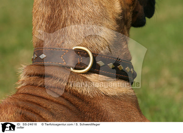 Halsband / collar / SS-24616