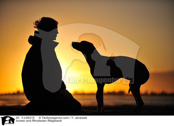 Mensch und Rhodesian Ridgeback / human and Rhodesian Ridgeback / YJ-06215