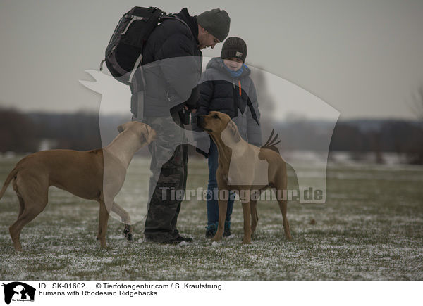 Menschen mit Rhodesian Ridgebacks / humans with Rhodesian Ridgebacks / SK-01602