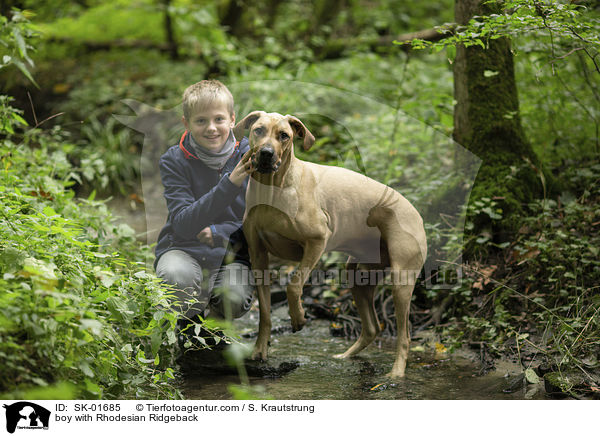 Junge mit Rhodesian Ridgeback / boy with Rhodesian Ridgeback / SK-01685