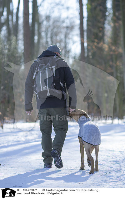 Mann und Rhodesian Ridgeback / man and Rhodesian Ridgeback / SK-02071