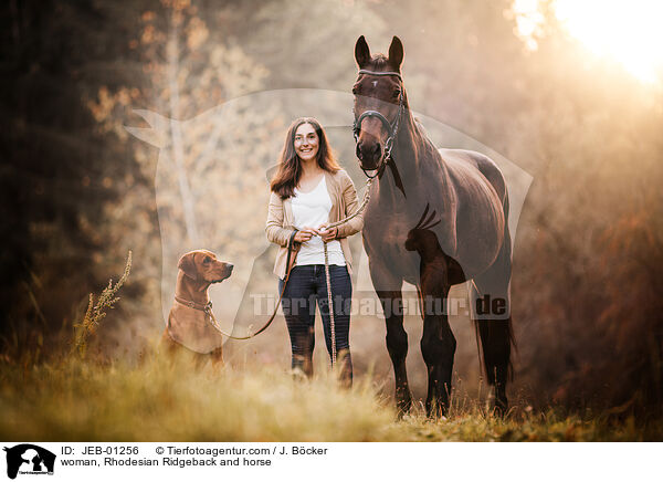 woman, Rhodesian Ridgeback and horse / JEB-01256