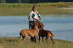 woman with Rhodesian Ridgebacks