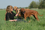 woman with Rhodesian Ridgebacks