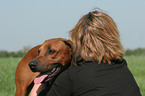 woman snuggles with Rhodesian Ridgeback