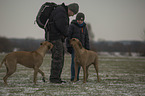 humans with Rhodesian Ridgebacks