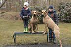 childs with Rhodesian Ridgebacks