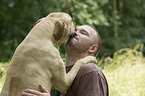 man with Rhodesian Ridgeback