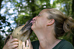 woman and Rhodesian Ridgeback