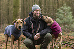 man and 2 Rhodesian Ridgebacks