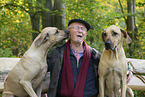 2 Rhodesian Ridgebacks