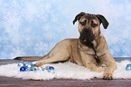 lying Antique Mastiff