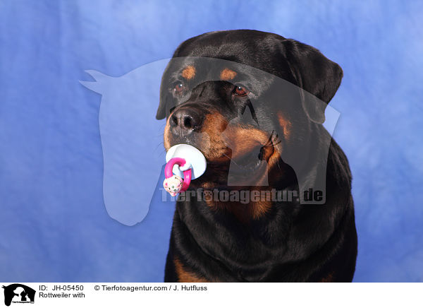 Rottweiler with / JH-05450