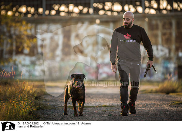 Mann und Rottweiler / man and Rottweiler / SAD-01282