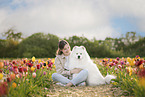 Samoyed
