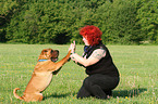 Shar Pei gives paw