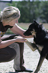 woman and shepherd