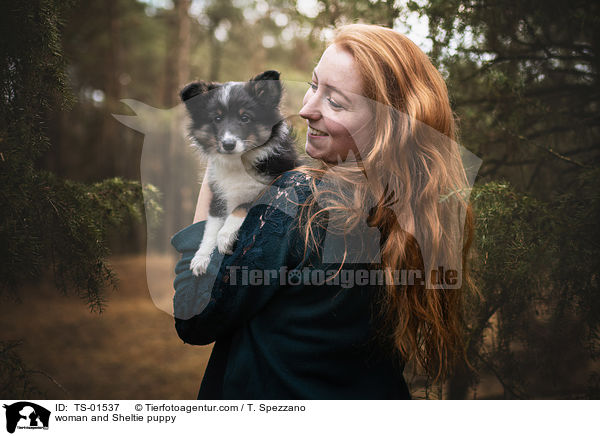 Frau und Sheltie Welpe / woman and Sheltie puppy / TS-01537