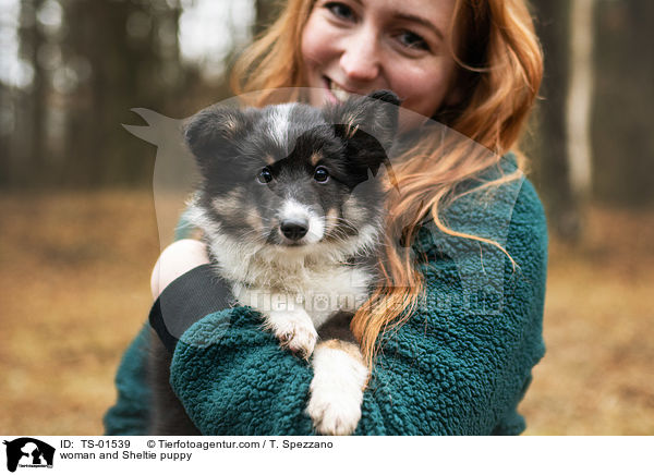 Frau und Sheltie Welpe / woman and Sheltie puppy / TS-01539