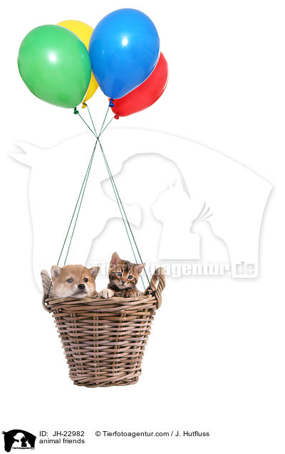 Tierfreundschaft / animal friends / JH-22982