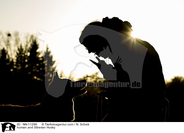 Mensch und Siberian Husky / human and Siberian Husky / NN-11296
