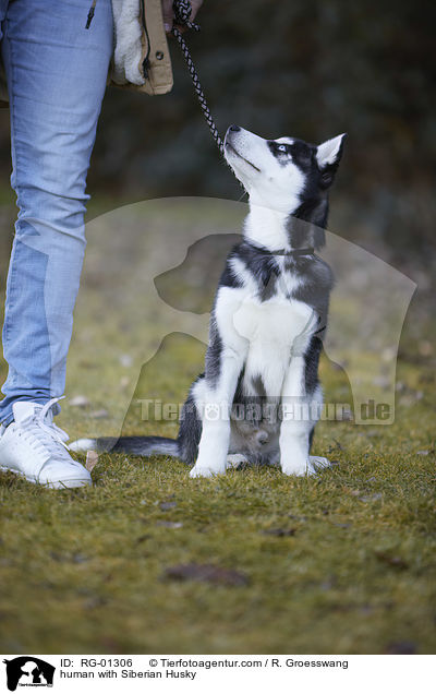 human with Siberian Husky / RG-01306