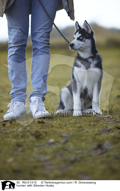 human with Siberian Husky / RG-01315