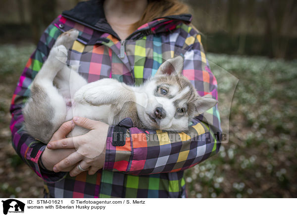 woman with Siberian Husky puppy / STM-01621