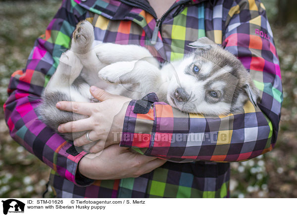 Frau mit Siberian Husky Welpe / woman with Siberian Husky puppy / STM-01626