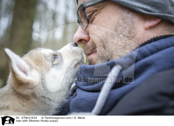 man with Siberian Husky puppy / STM-01634