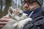 man with Siberian Husky puppy