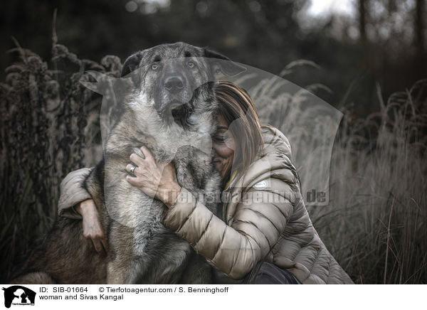 woman and Sivas Kangal / SIB-01664