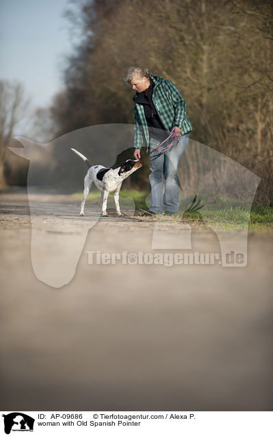 woman with Old Spanish Pointer / AP-09686