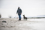 man and Staffordshire Bull Terrier