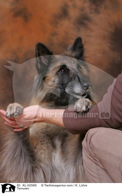 Tervueren / Tervuren / KL-02589